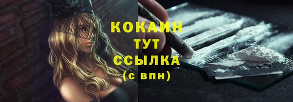 крисы Аркадак
