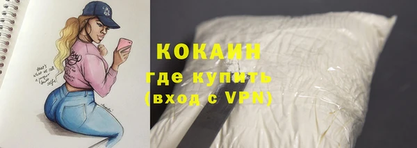 крисы Аркадак