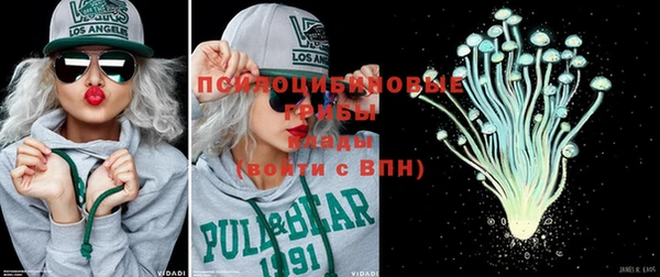 крисы Аркадак